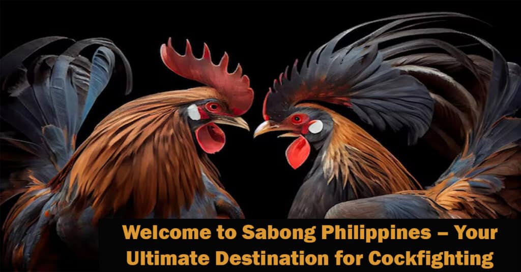 welcome to sabong philippines - your ultimate destination for cockfighting enthusiasts