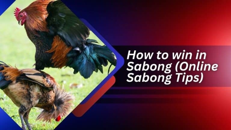 5 Best Tips on How to Win in Sabong